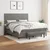 Vidaxl Box spring postelja z vzmetnico temno siva 160x200 cm blago