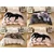 shumee Mehka odeja 200/220 karo pregrinjalo za posteljo realističen 3D natisnjen mucek, mačka