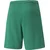 Puma Kratke hlače teamRISE Short