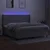 Vidaxl Box spring postelja z vzmetnico LED sv. siva 200x200 cm blago