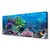 tulup.si Slika na platnu Aquarium fish pod vode 120x60 cm