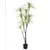 Lilium dekorativna dracena 170cm 567296