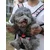 Paws & Whiskers Am za pse Premium, Roze