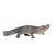 Mojo Aligator