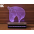 Black Cut 3D Lampa Glava konja, Hladno bela