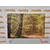 Slika zeleni gozd - 90x60