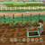 SWITCH Story of Seasons - Wonderful Life