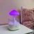 Ruhhy 24378-Ovlaživač zraka s LED noćnom lampom i rain efektom – 450 ml, aromaterapija, USB-C