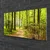 tulup.si Steklena slika Forest narava pot 100x50 cm 2 obešalnika
