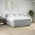 vidaXL Box spring postelja z vzmetnico svetlo siva 200x200 cm blago