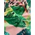 Next Kopalke za oblikovanje postave  voda / smaragd / svetlo zelena / staro roza