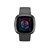 FITBIT pametna ura Sense 2, Shadow Grey/Graphite