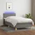 Vidaxl Box spring postelja z vzmetnico LED temno siva 100x200 cm blago