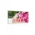 Slika potonike z napisom Love - 40x30