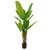 Lilium stablo banana 1x3 170cm 567293