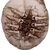 Dekoracija Breaking Out Skull - B5389S0