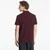 Majice Lacoste Polos Oxalis 5