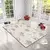 Conceptum Hypnose Tepih 180x280cm Šareni