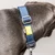 Reflective dog collar, large size, Blue - Built Pet