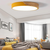 LED plafonska lampa F2811-16C GY