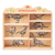 Lesene prazgodovisnke živali na polički 24 kom Dinosaurs set Tender Leaf Toys