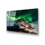 Wallity slika UV-317, 50 x 70 cm