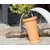 Prosperplast Velik MASIVNI TERRACOTTA krožnik 45 cm