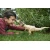 Mattel Jurassic World T-Rex na lovu z zvoki (HNT62)