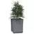 Sadilice 2 kom plava siva 30 x 30 x 37 cm od polipropilena