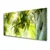 tulup.si Slika na steklu Apple tree branch narava 125x50 cm 2 obešalnika