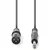 COTH15100GY30 Balansirani audio kabl, XLR 3-pinski muški, 6,35 mm muški, Niklovani, 3,00 m, PVC