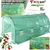 shumee Folija za tunel 8x3x2m zelena obloga
