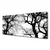 tulup.si Slika na platnu Drevesa narava black and white 125x50 cm