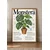 Plakat 21x30 cm Monstera botanični vintage za dnevno sobo A4