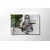 Wallity Slika 1876, 50x70 cm
