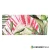Lema Amazonia TS