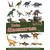 Panorama: Doba dinosaurusa