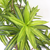 Umetna dracena 155 cm AKCIJA