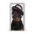 tulup.si Nalepka na vratih Rottweiler 95x205 cm