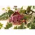 GRAINE CREATIVE Leseni 3D model Triceratops