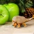 Safari Doedicurus dinozaver