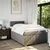 Vidaxl Box spring postelja z vzmetnico taupe 120x200 cm blago