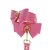 Taboom Malibu Ankle Cuffs Set Pink