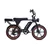 CAPRIOLO E-BIKE E-RETRO 20 926815
