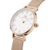 DANIEL WELLINGTON DW00100447
