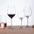 Kozarci za rdeče vino 570 ml set 6 kosov - Optima Line Glas Lunasol - 322686