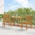 Vrtna stolica 2 pcs Smeđa 50 x 50 x 91cm Čvrsto drvo akacije