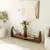 HANAH HOME TV polica Surf Chesnut Transparent