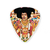 Dunlop Jimi Hendrix Collector Series JHPT24