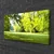 tulup.si Slika na platnu Grass nature park drevesa 100x50 cm